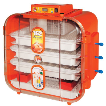 INCUBATRICE COVATUTTO 162 DIGITALE ADATTA A TUTTE LE UOVA GALLINACEI / NOVITAL