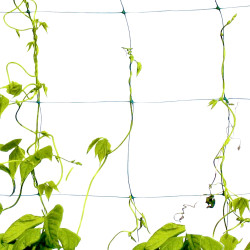 RETE PER ORTAGGI 2 X 10 ML - MAGLIA 100 X 100 MM PIANTE AGRICOLTURA