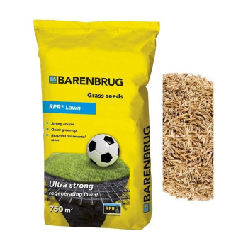 BARENBRUG BAR POWER RPR PLAY & SPORT 15 KG SEMI PRATO MISCUGLIO SEME CON LOLIUM