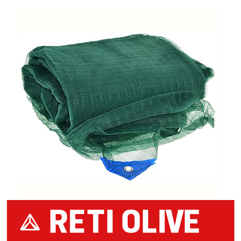 Reti olive