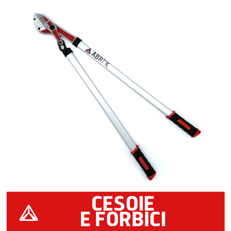 Cesoie e forbici