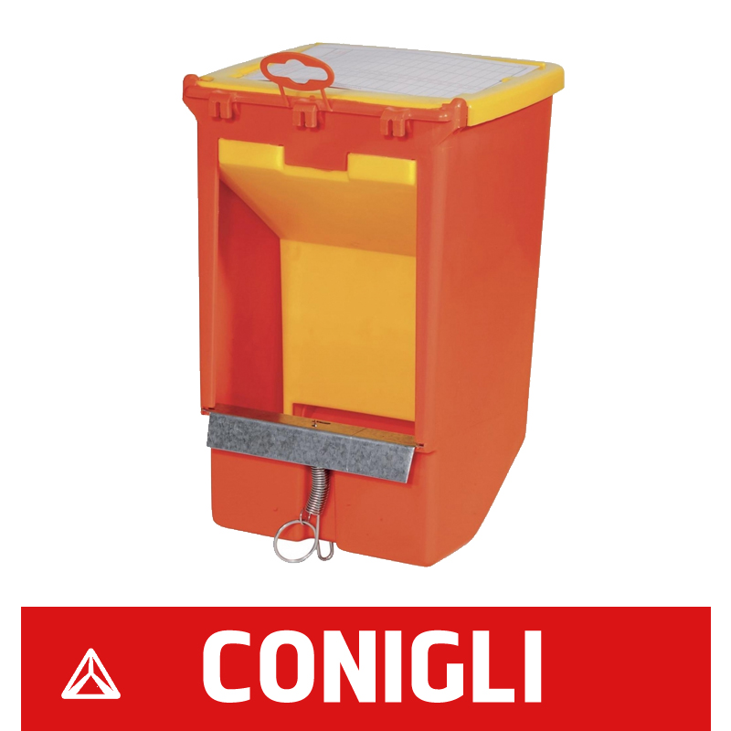 Conigli