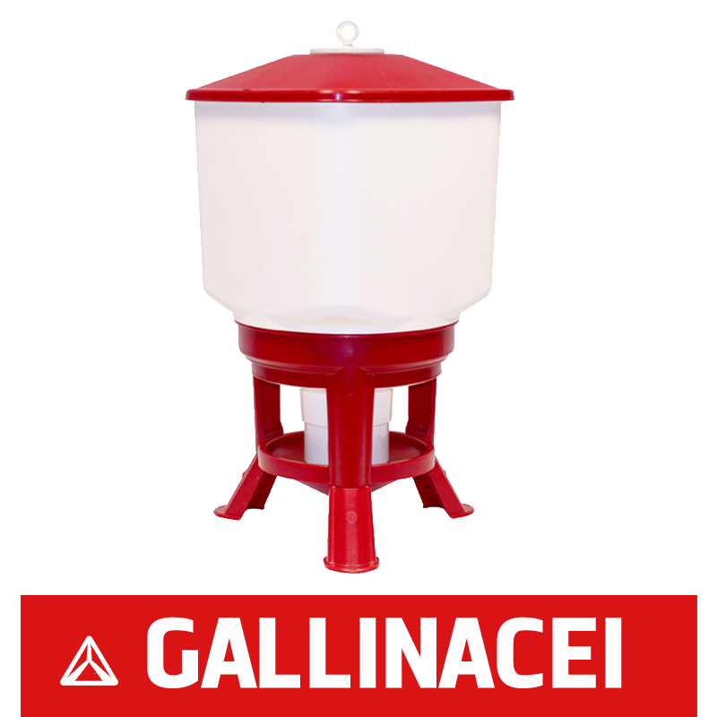 Gallinacei