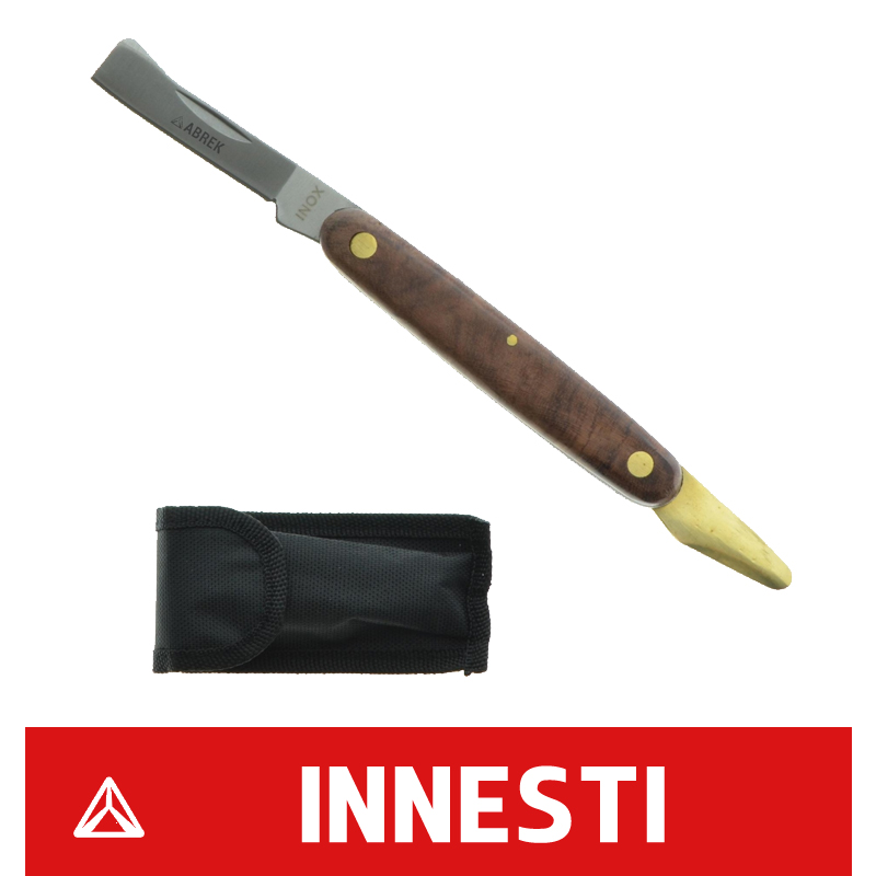 Innesti