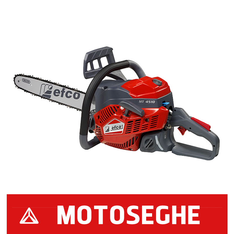 Motoseghe