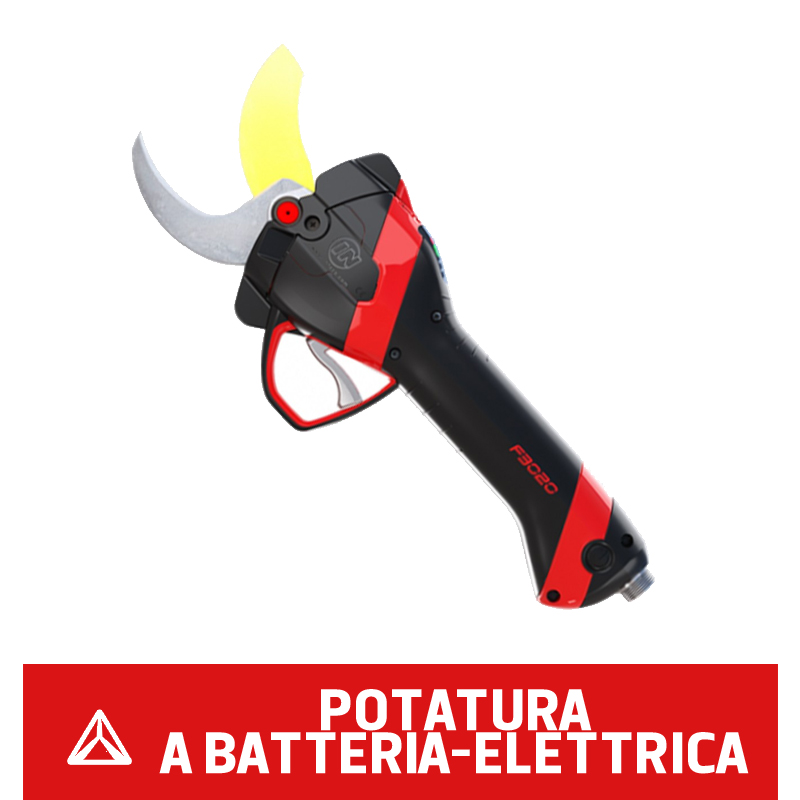 Potatura a batteria-elettrica