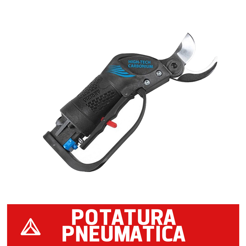 Potatura pneumatica