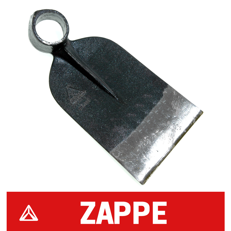 Zappe